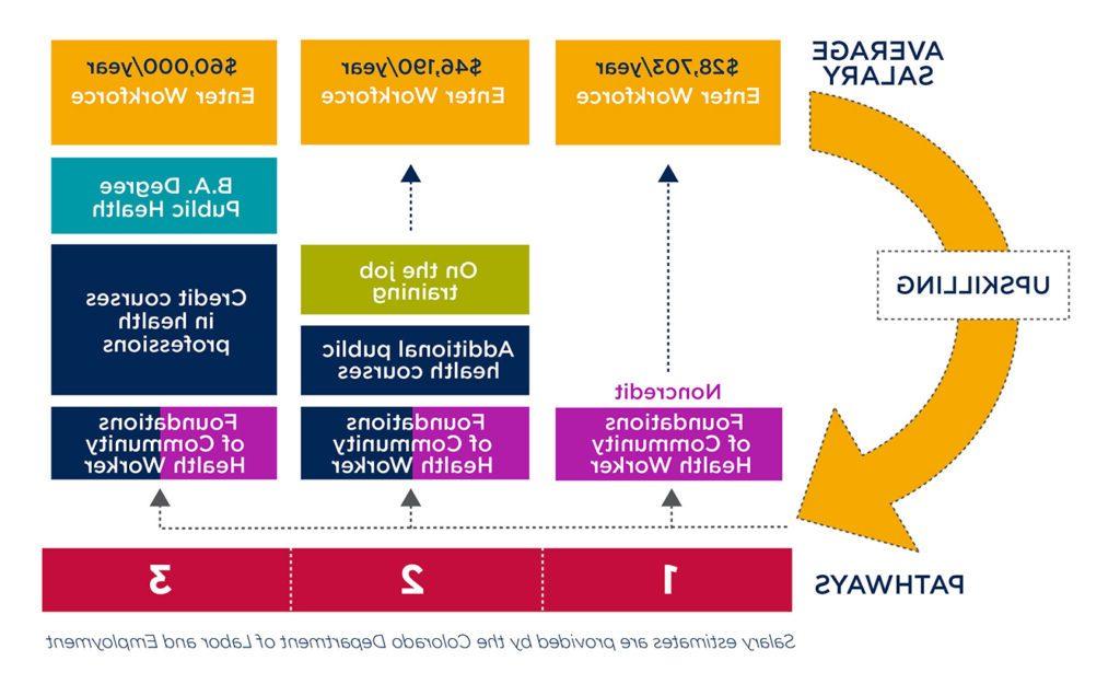 社区卫生工作者职业生涯路径图2024